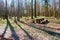 A place for travelers to rest, table and benches in the forest