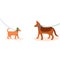 A place for walking dogs. Different dogs on leashes. flat style illustration on white background isolated