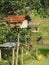 Place of worship to the goddess of Sri rice in a rice field in rural areas