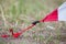 Placement of red camping tent, macro shot of peg and grass.