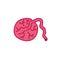 Placenta doodle icon, vector illustration