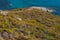 Plage d`Alisu, beach, Haute Corse, Cape Corse, Corsica, Upper Corsica, France, Europe, island