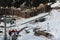 Plagne Centre, Winter landscape in the ski resort of La Plagne, France