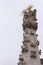 Plague column with golden cross in Europe. Plague historic memory. Old religious statue with angels. Baroque culture detail.