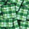 Plaid Green Cushions