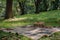 A plaid picnic blanket laid out on the grass in a park, A plaid blanket spread out on the grass for a picnic