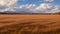 A plain covered with tall, dense grass in the fall. Blue sky with white clouds over the steppe. AI generation