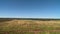 Plain Farmland Along Lake Titicaca, Bolivia