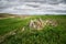 Plain fields at Alentejo in Castro Verde