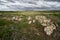 Plain fields at Alentejo in Castro Verde