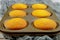Plain homemade cupcakes in baking tray