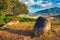 The Plain of jars. Laos