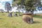 Plain of jars in laos