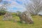 Plain of jars in laos