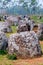 Plain of Jars in Laos,The Grave or Shrines