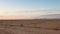 Plain land along Desert Highway in Jordan