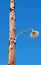 Plain light bulb on a wooden lamp post