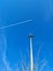 Plain, light pole, tree and the sky