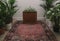 a plain room with plants and a wooden box, in the style of rug, digital minimalism, selective focus, symmetrical, white