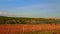 Plain Sunny Rural Landscape with Farm Trees Peasants against Sky