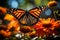 Plain Tiger Danaus Chrysippus Butterfly Insect Flying in the Flowering Garden on Springtime