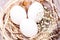 Plain undecorated Easter eggs in a nest