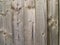 Plain unpainted wooden fence panel