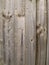 Plain unpainted wooden fence panel