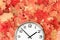 Plain wall clock in the center on red fall foliage