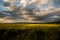 Plain wheat landscape field in Transylvania, Romania duringsummer