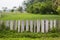 Plain wooden rustic fence and green nature