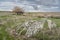 Plains at Alentejo in Castro Verde