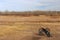 Plains Surrounding Bent`s Old Fort National Historic Site