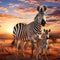 Plains Zebra with foal