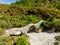 Plakidas arched stone bridge of Zagori region in Northern Greece. Iconic bridges were mostly built during the 18th and 19th