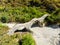 Plakidas arched stone bridge of Zagori region in Northern Greece. Iconic bridges were mostly built during the 18th and 19th