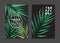 Plam leaves design, tropical tree jungle poster set. Trendy botanical background for wallpapers, posters, cards, invitations,