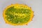 Plan view of a ripe Kiwano or Horned Melon fruit, sliced length-wise, on white background