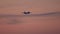 Plane on the background of the sunset flies to land