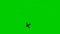 The plane flies along a trajectory. Isolated airplane on green background.