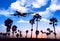 Plane flies over the palm trees. Travel concept with aircraft and palm trees