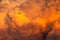 Plane fly over dramatic orange sky and clouds abstract background. Top view of orange clouds. Art picture of orange clouds