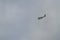 Plane Flying Above The Atlanterra Beach In Zahara. Nature, Architecture, History, Street Photography. July 12, 2014. Zahara De Los