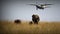 Plane flying above the elephants in a safari in Masai Mara, Kenya