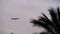 Plane Flying high in the Sky against a background of Silhouettes of Palm Tree