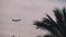 Plane Flying high in the Sky against a background of Silhouettes of Palm Tree