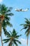 Plane flying over palm trees. Flying industry.