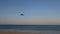 The plane lands over a sandy beach