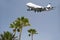 Plane and palms