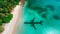 Plane reflected in the turquoise waters of a paradise beach, with white sand and palm trees